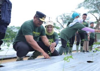 Gaungkan Semangat Menanam, Pj Gubernur Babel: Rumah Dinas Sebagai Percontohan
