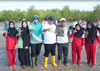 Pemprov Babel Rayakan Hari Mangrove Sedunia dengan Penanaman 3.300 Bibit Mangrove di Baskara Bakti
