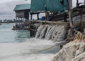 Pakar Hukum Romli Atmasasmita Dukung PT Timah Beli Timah Rakyat Babel