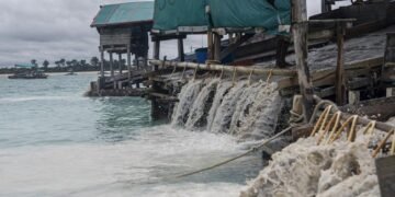 Pakar Hukum Romli Atmasasmita Dukung PT Timah Beli Timah Rakyat Babel